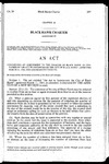 Concerning an Amendment to the Charter of Black Hawk as Contained in 